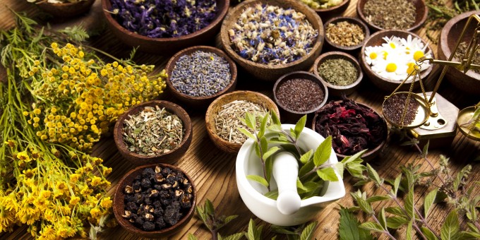 Herbal ingredients used in Uniace formulations